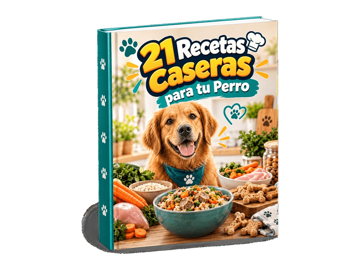 Portada del ebook 21 Recetas Caseras para tu Perro, de Pet en Casa